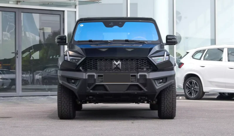 
								M-Hero 917 EV full									