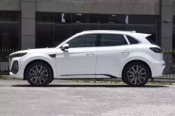 Hongqi HS5