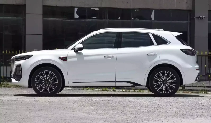 
								Hongqi HS5 full									