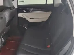 Xingyue L 2023