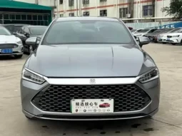 Qin PLUS 2024