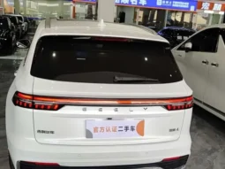 Xingyue L 2023