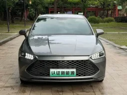 Qin PLUS 2021