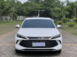 Qin L 2024