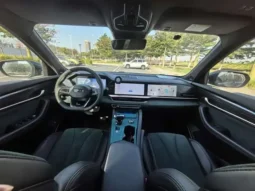 Xingyue L 2021