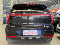 Boyue L  2025