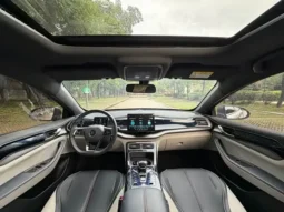 Qin PLUS 2021