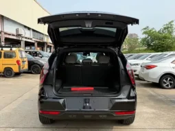 Boyue L  2025
