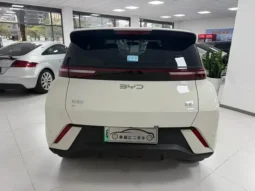 Seagull 2025