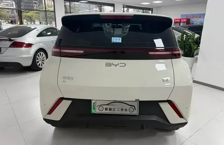 
								Seagull 2025 full									