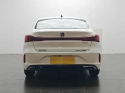 Eado 2024