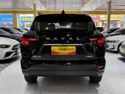 Haval Big Dog