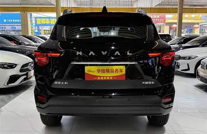 
								Haval Big Dog full									