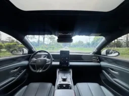 Qin L 2024
