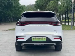 Tangxin Energy 2021