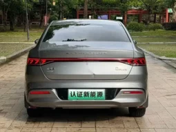 Qin PLUS 2021