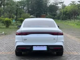 Qin L 2024