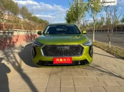 Haval First Love 2021