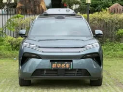 Tang L 2025
