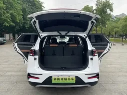 Tangxin Energy 2021