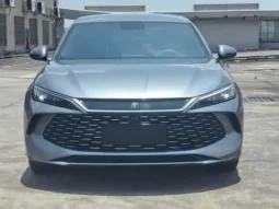 Qin L 2024