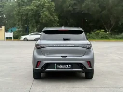 Dolphin 2023