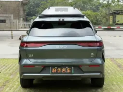 Tang L 2025