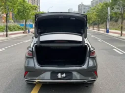 Ruicheng PLUS