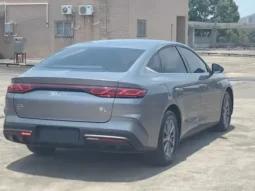 Qin L 2024