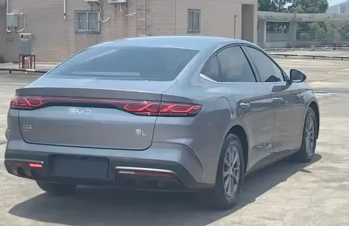 
								Qin L 2024 full									
