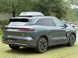 Tang L 2025