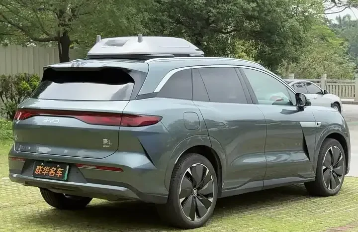 
								Tang L 2025 full									