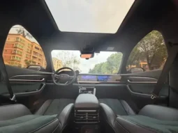 Xingyue L 2021