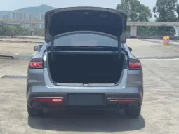 Qin L 2024