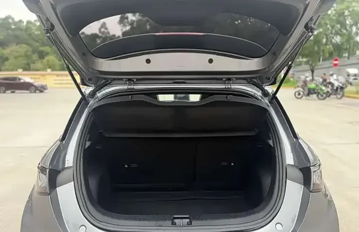 
								Dolphin 2023– Ready for Export From China | CARBUYCHINA full									