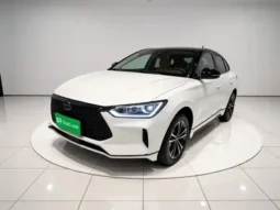 BYD e2