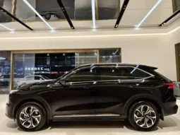 Haval Xiaolong MAX 2023