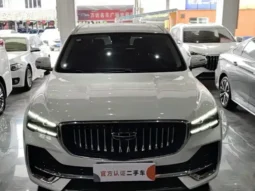 Xingyue L 2023