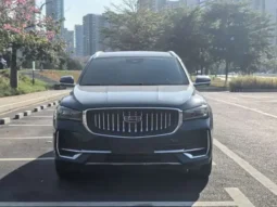 Xingyue L 2021