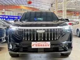 Boyue L  2025