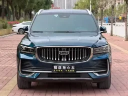 Xingyue L 2021