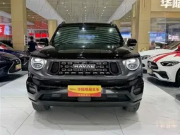 Haval Big Dog