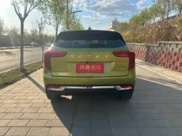 Haval First Love 2021