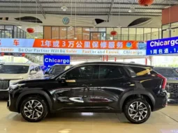 Boyue L  2025