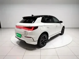 BYD e2