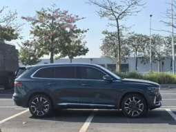 Xingyue L 2021