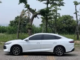 Qin L 2024