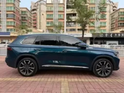 Xingyue L 2021