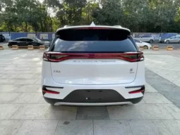 Tangxin Energy 2021
