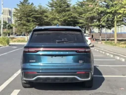 Xingyue L 2021